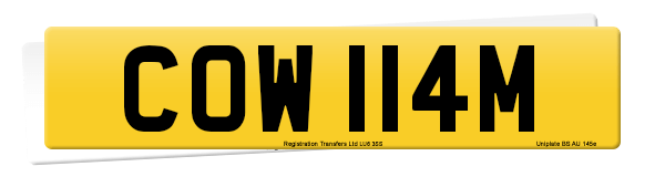 Registration number COW 114M